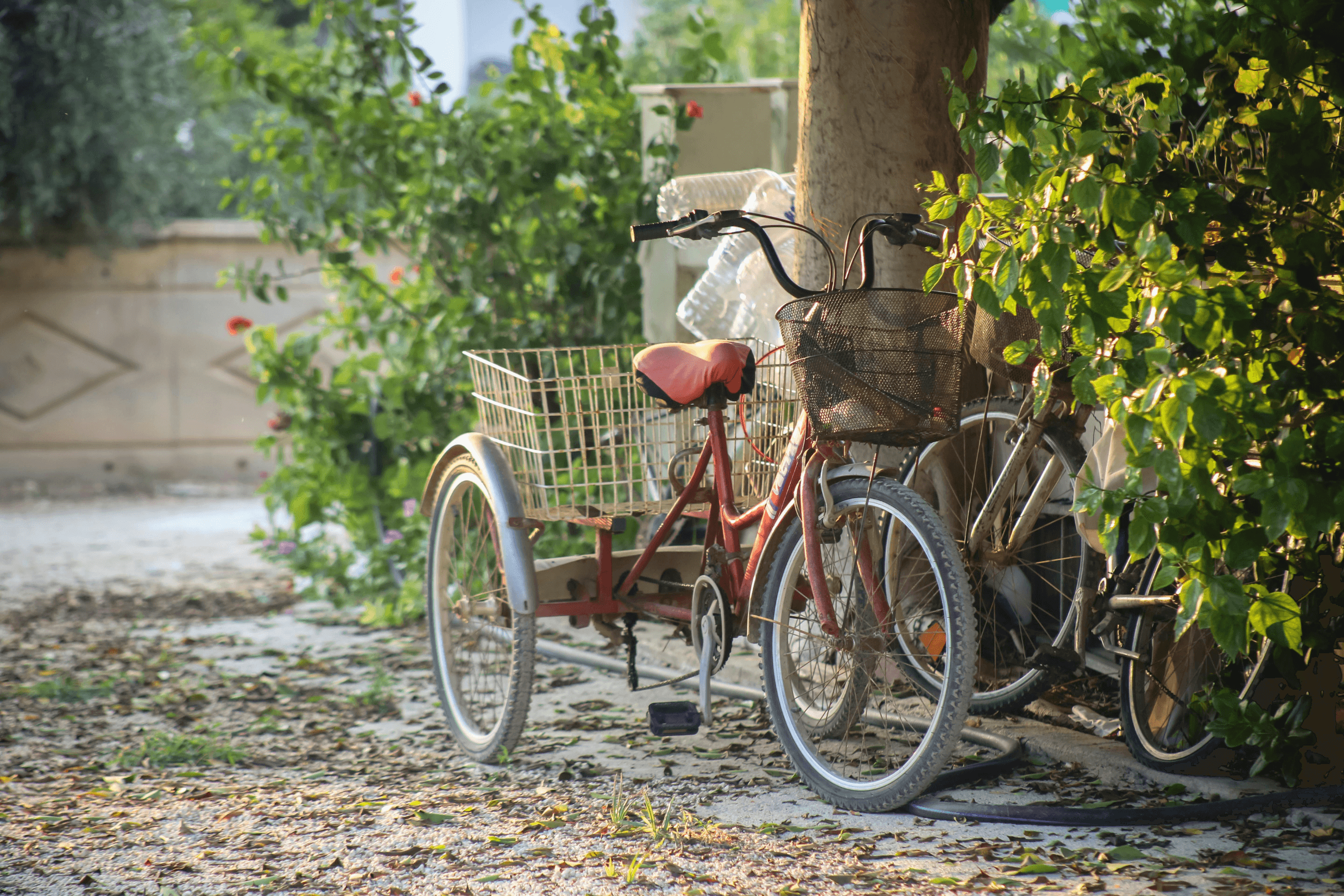 bike image